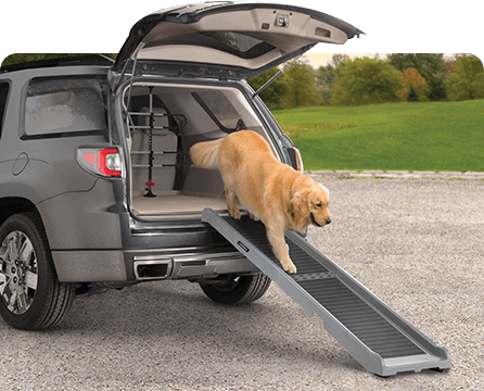Rampas para perros